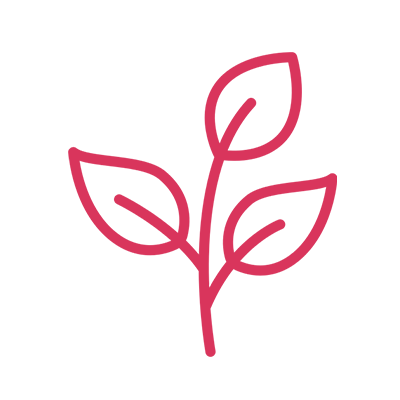 Packaging CBD personnalisé sur Smilepack.fr - smilepack.fr - impression, packaging sur mesure et emballage personnalisé